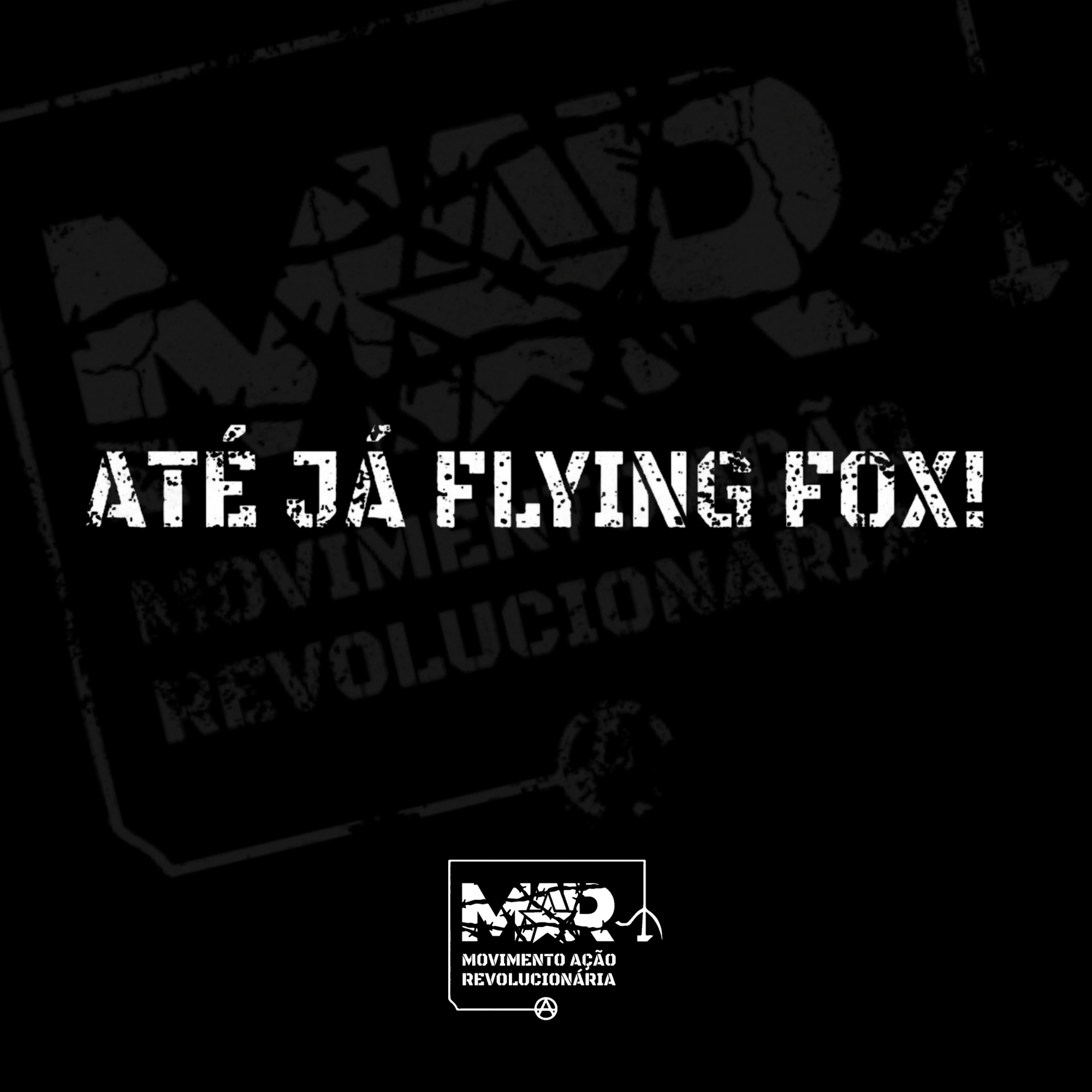 Até Já Flying Fox!